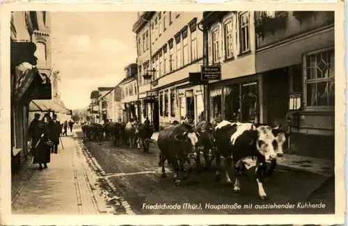 Friedrichroda - Hauptstrasse mit ausziehender Kuhherde -401522