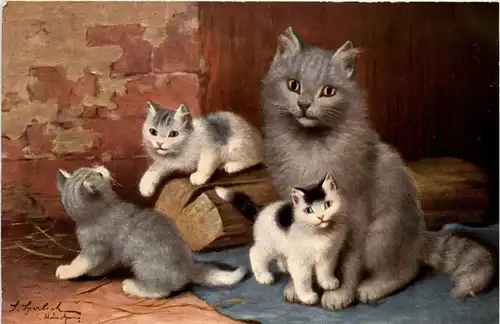 Katzen - Cats -401198