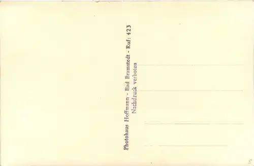 Bad Bramstedt - Eichhörnchen -401240