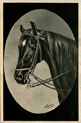 Pferd - Künstlerkarte -401312