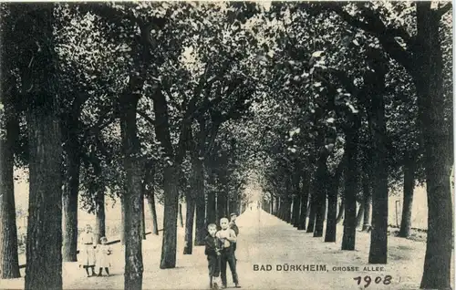 Bad Dürkheim - Grosse Allee -400464