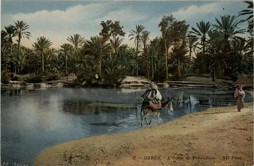 Gabes - L Oasis de Teboulbou -401938