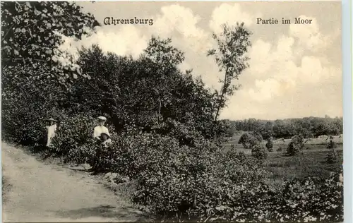 Ahrensburg - Partie im Moor -401420