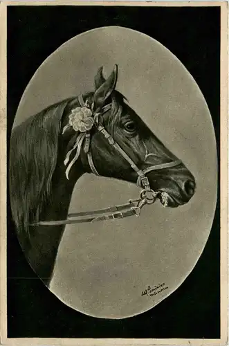 Pferd - Künstlerkarte -401308