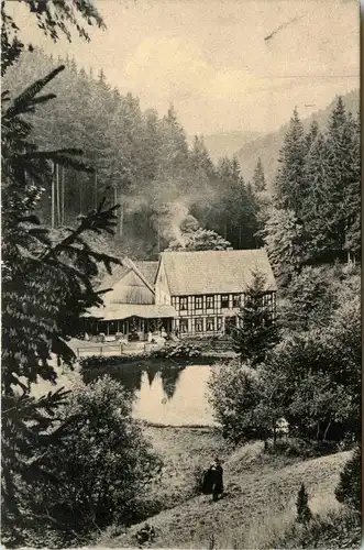 Wolfsbachmühle bei Hohegeiss -402380