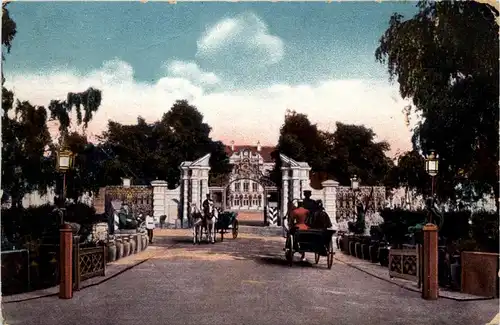 St. Petersbourg - Zarskoje Selo -403130