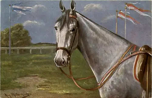 Pferd - horse sign. Aug. Müller -402084