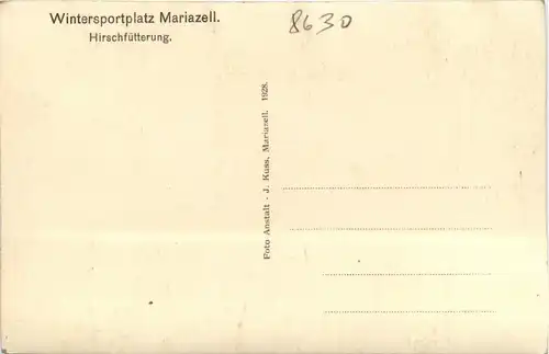 Hirschfütterung Mariazell -403686