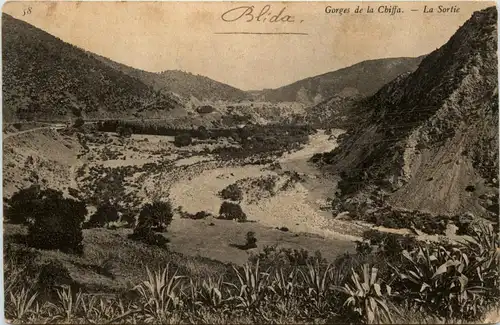 Blida - Gorges de la Chiffa -401346