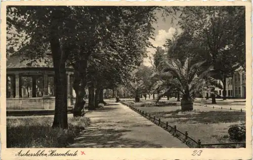 Aschersleben - Herrenbreite -330274