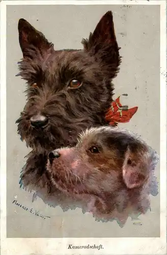 Hunde Dogs - Florence E Valler -402096