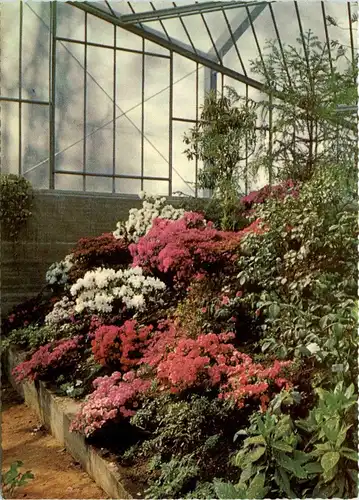 Hamburg - Intern. Gartenbau-Ausstellung Hamburg 1963 -330138