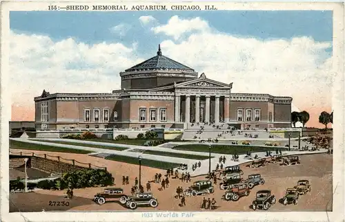 Chicago - Shedd Memorial Aquarium -262732