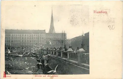 Hamburg - Möven auf der Alster -330984