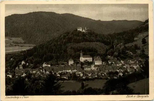 Leutenberg/Thür. - Blick vom Gerorgsitz -330534