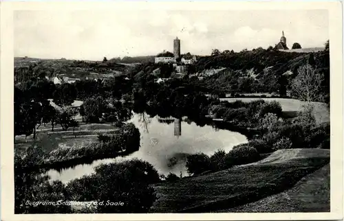 Saaleck/Sachsen-Anhalt - Burgruine Schönburg a.d. Saale -330252