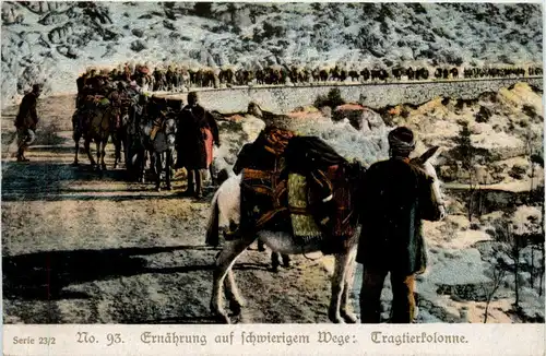 Ernährung auf schwierigem Wege - Tragtierkolonne -403192
