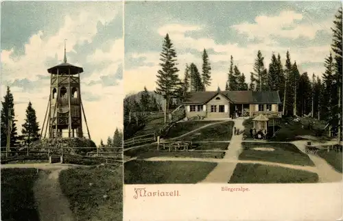 Mariazell - Bürgeralpe -403602