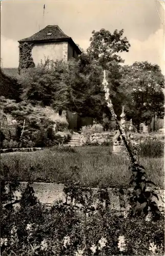 Arnstadt/Thüri. - An der Stadtmauer -331716