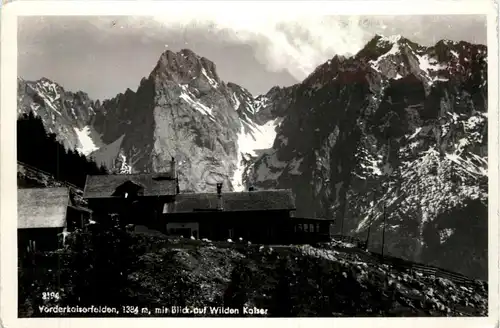 Vorderkaiserfelden mit Blick auf Wilden Kaiser -329990