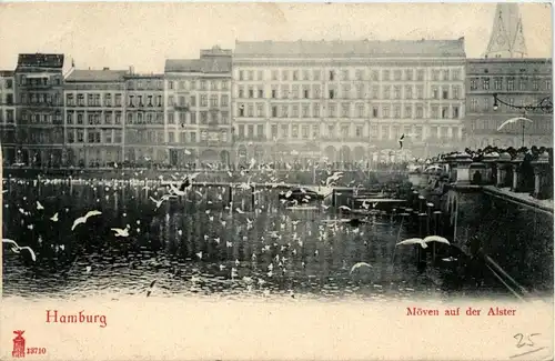 Hamburg - Möven auf der Alster -330982