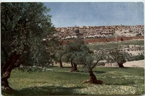 Jerusalem vom Ölberg -264360
