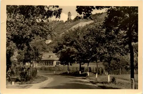 Arnstadt/Thür. - Blick zur Alteburg -331972