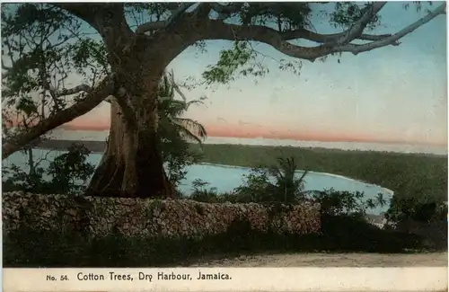 Jamaica - Cotton Trees Dry Habour -265648