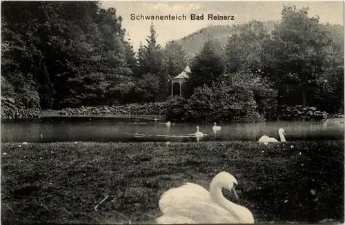 Bad Reinerz - Schwanenteich -403958