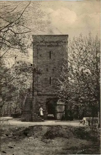 Aussichtsturm im hildesheimer Walde -406078