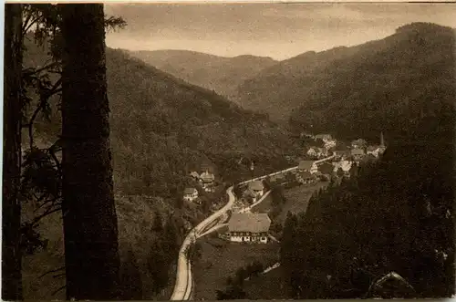 Blick ins Nussbacher Tal -406516
