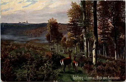 Feldberg im Taunus -405610