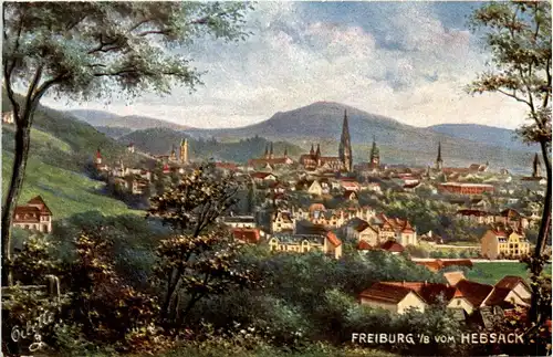 Freiburg i.Br./Baden-Württemberg - vom Hebsack -328888