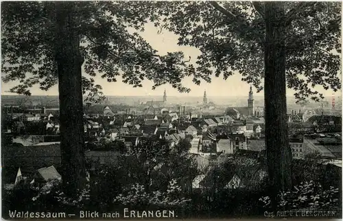 Waldessaum - Blick nach Erlangen -406642