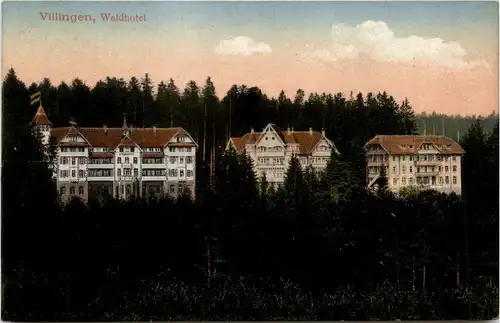 Villingen - Waldhotel -405856