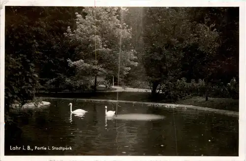 Lahr - Partie im Stadtpark -406166