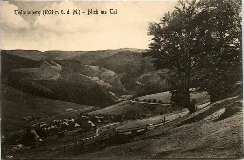 Todtnauberg - Blick ins Tal -406538