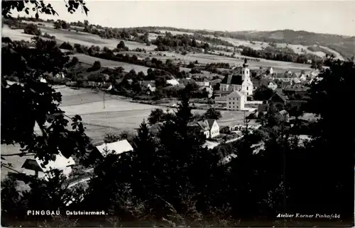 Oststeiermark/ div.Orte ung Umgebung - Sommerfrische Pinggau -333286