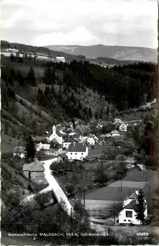 Oststeiermark/ div.Orte ung Umgebung - Sommerfrische Waldbach -333444