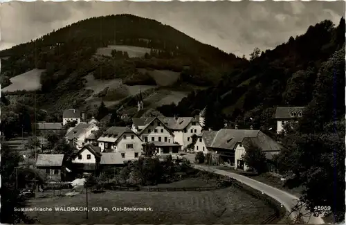 Oststeiermark/ div.Orte ung Umgebung - Sommerfrische Waldbach, -333464