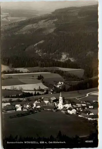 Oststeiermark/ div.Orte ung Umgebung - Sommerfrische Wenigzell -333504