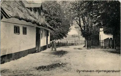 Dyrehaven - Hjortekjaershuset -406234