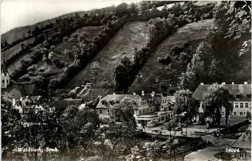 Oststeiermark/ div.Orte ung Umgebung - Sommerfrische Waldbach -333440