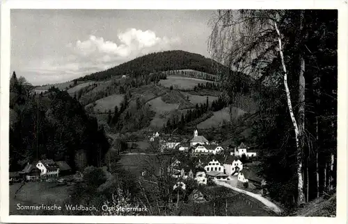 Oststeiermark/ div.Orte ung Umgebung - Sommerfrische Waldbach, -333460