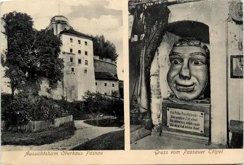 Passau - Aussichtsturm Oberhaus - Gruss vom Passauer Tölpel -329470