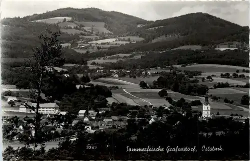 Oststeiermark/ div.Orte ung Umgebung - Sommerfrische Grafendorf -333176