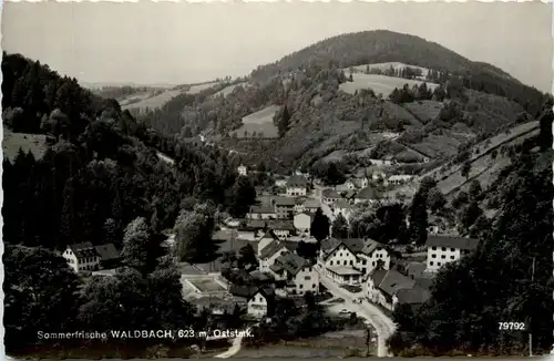 Oststeiermark/ div.Orte ung Umgebung - Sommerfrische Waldbach -333428