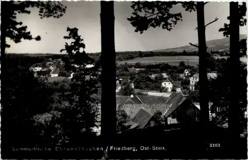 Sommerfrische Ehrenschachen/Friedberg -333296