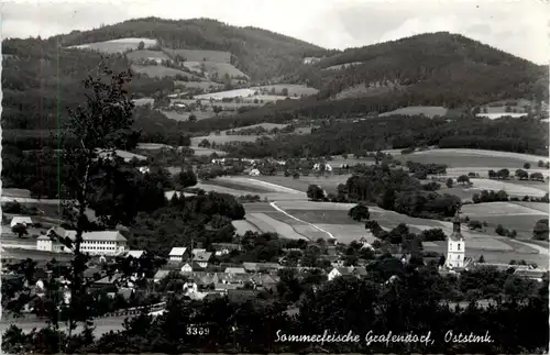 Oststeiermark/ div.Orte ung Umgebung - Grafendorf, -333148