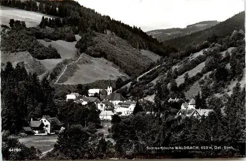 Oststeiermark/ div.Orte ung Umgebung - Sommerfrische Waldbach -333434